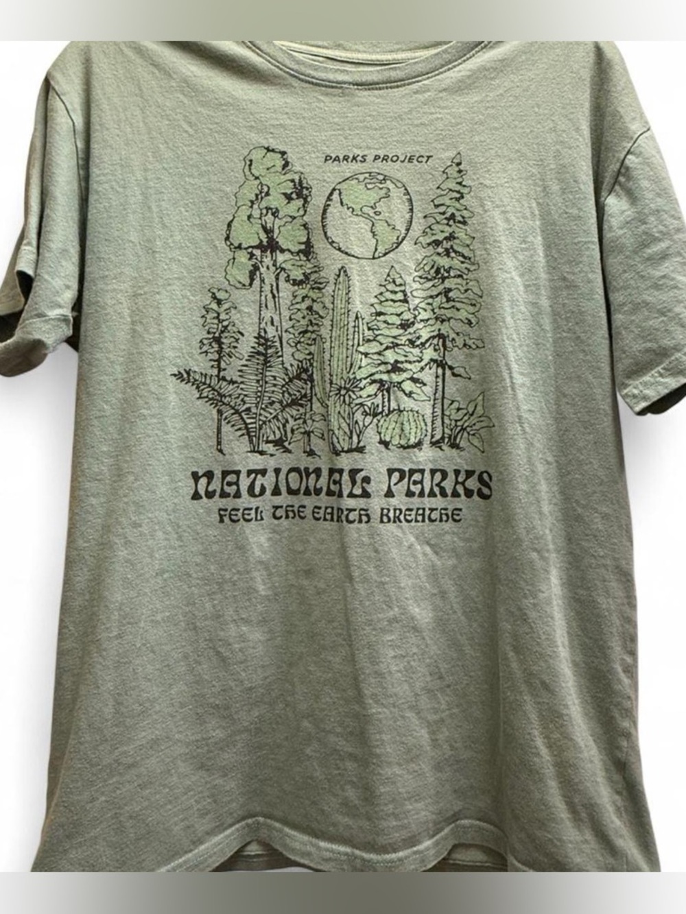 Parks Project Sage Green National Parks Graphic Tee